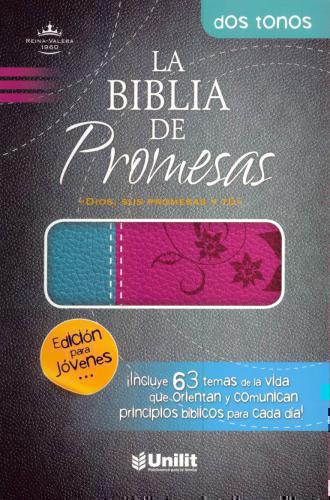 RVR60 Promises Bible Youth Edition Special Pink Turquoise Leather