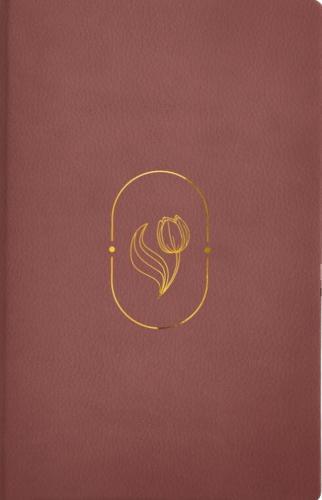 Biblia Reina Valera 1960 Promesas Virtuosa, Tamaño Grande, Imitacion Piel