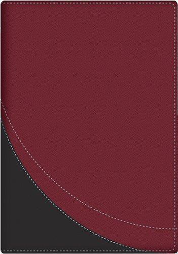 Reina Valera 1960 Chronological Bible, Imitation Leather, Large Print