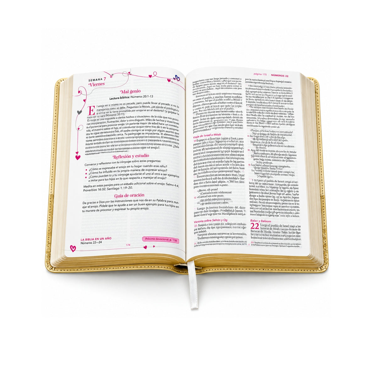 Biblia Devocional Los Lenguajes del Amor NTV | Gary Chapman