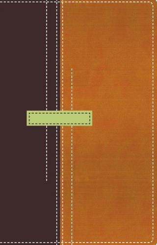Reina Valera 1960 Thompson Bible Italian Terracotta Brown Leather Manual Size