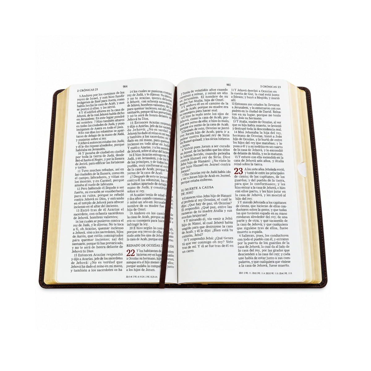 Minister's Bible RVR1960 Giant Size, Large Print, Brown Leathersoft,