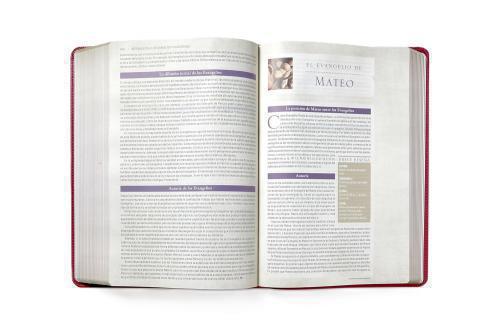 RVR, Cultural Background Study Bible (Context Changes Everything)