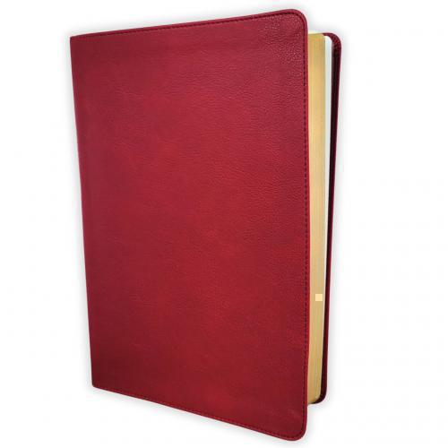 RVR, Biblia de estudio trasfondo cultural (El contexto lo cambia todo)