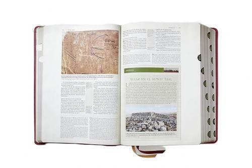 Cultural Background Study Bible RVR, Imitation Leather, Burgundy with Index