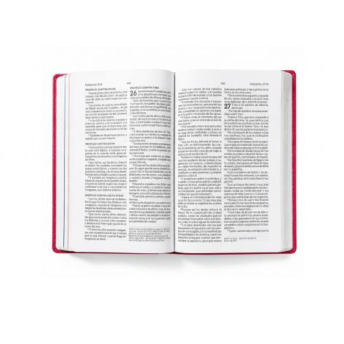 RVR60, Busy Mom's Bible, Leathersoft, Magenta, Words of Jesus
