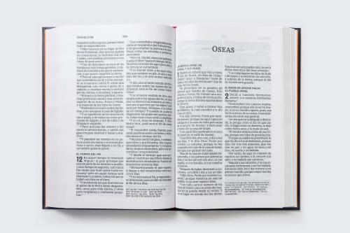 RVR60, Holy Bible, Prize and Gift, Large print, Hardcover, Isaiah 53