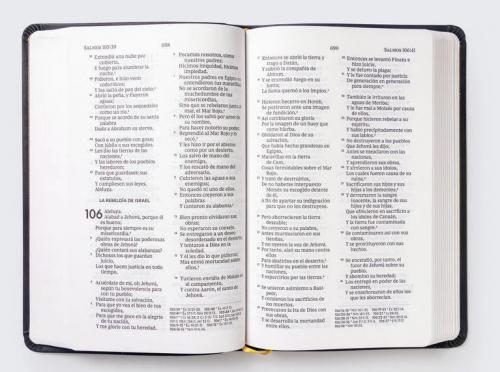 RVR60, Santa Biblia, Premio y Regalo, Letra grande, Leathersoft, Negro