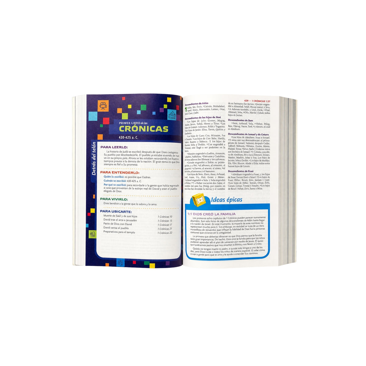 RVR60 Biblia de estudio para niños, Softcover: La Biblia para niños más completa