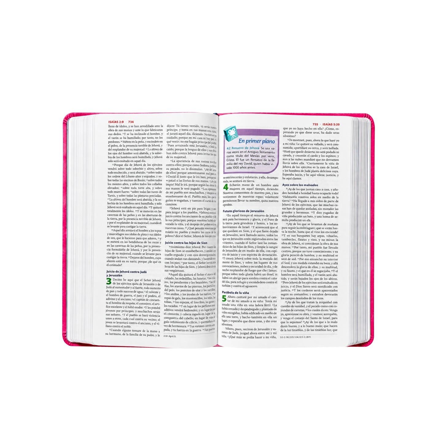 RVR60 Biblia de estudio para niños, Leathersoft, Rosado