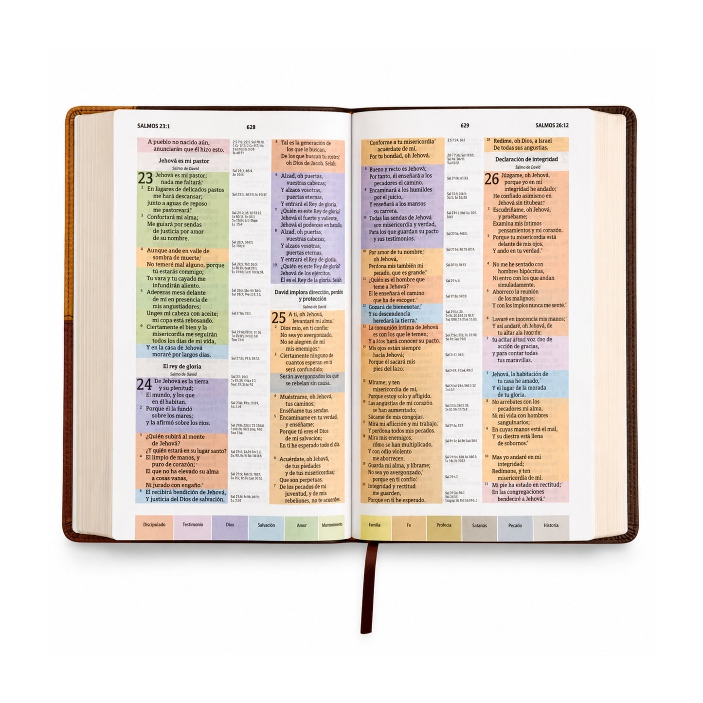 Biblia RVR1960, Biblia de Estudio Arcoiris, Sentipiel color terracota