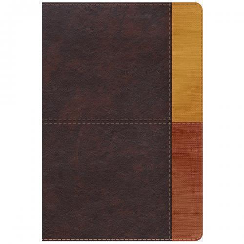 Biblia RVR1960, Biblia de Estudio Arcoiris, Sentipiel color terracota