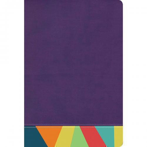 Biblia RVR1960, Biblia de Estudio Arcoiris, Sentipiel color morado