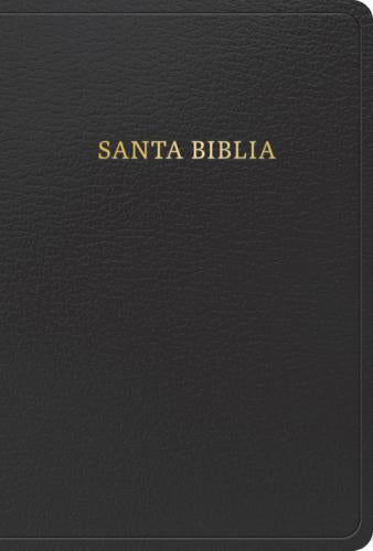 RVR1960 Manual Size Bible, Imitation Leather, Black, Large Print With Index