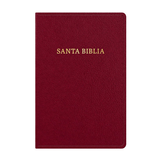 RVR1960 Imitation Leather Bible, Giant Print, Burgundy with Index