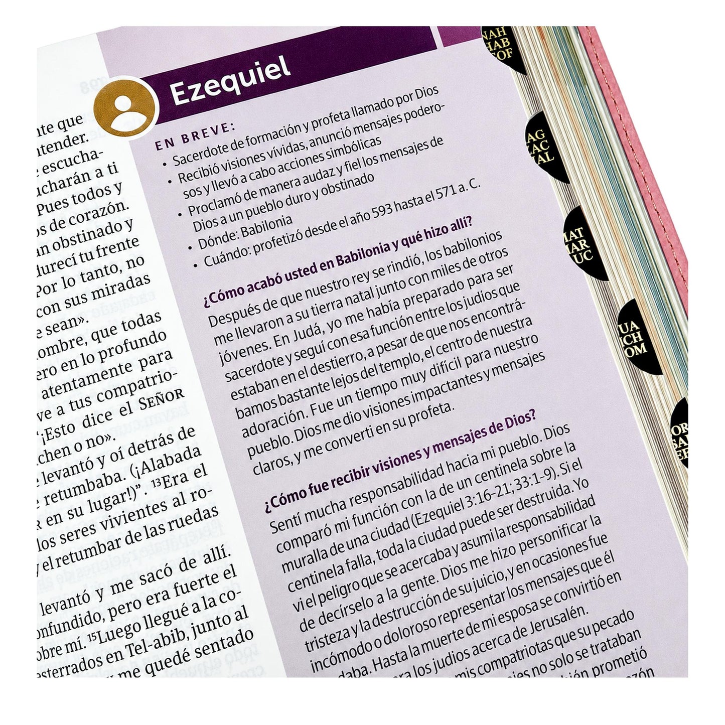 Biblia NTV Estudio Para Jovenes, Diario Vivir, Cubierta Imitación Piel