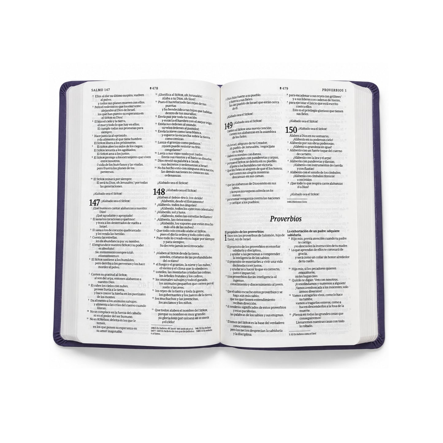 Biblia valor prémium NTV con Filament, SentiPiel, Morado
