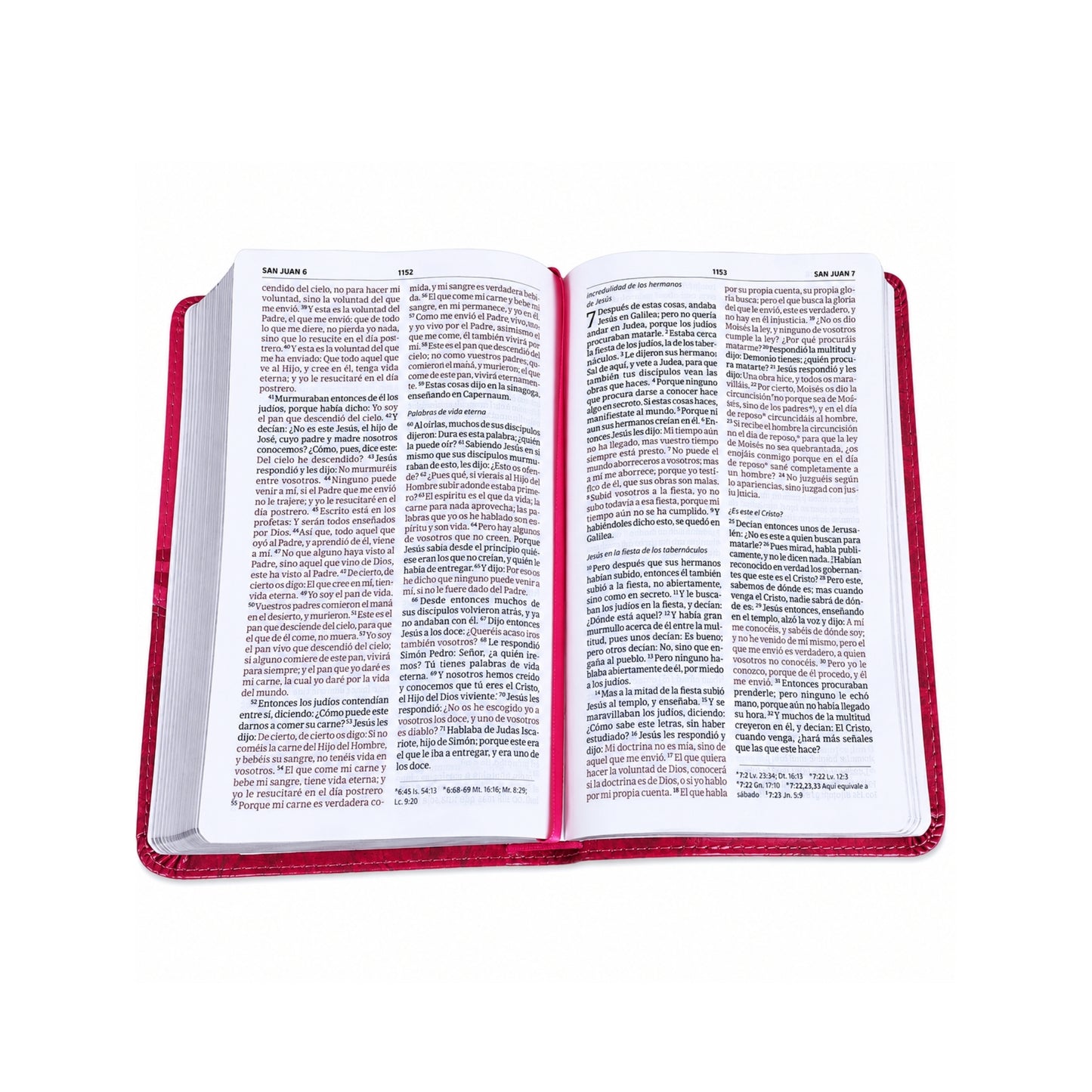 Biblia RVR60 Mis Quince Imitación Piel Color Frambuesa Flor