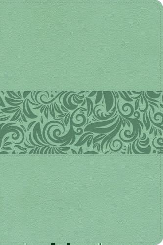 RVR1960 Bible Gifts & Awards Imitation Leather Turquoise Blue