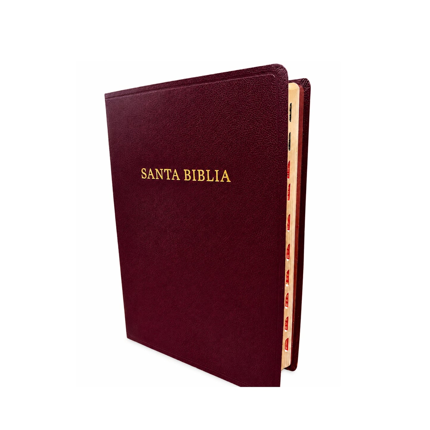 Biblia RVR60 Letra Gigante, Referencias Imitación Piel Color Vino Con Indice