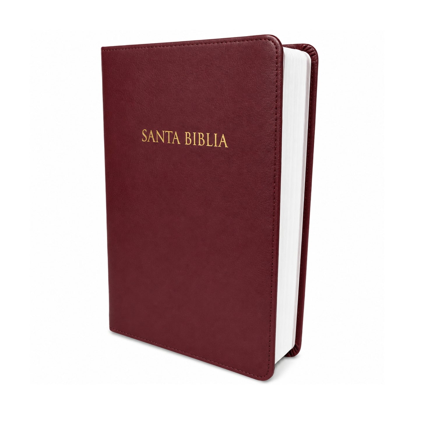 RVR1960 Manual Size Bible, Burgundy Leatherette - Gifts and Prizes