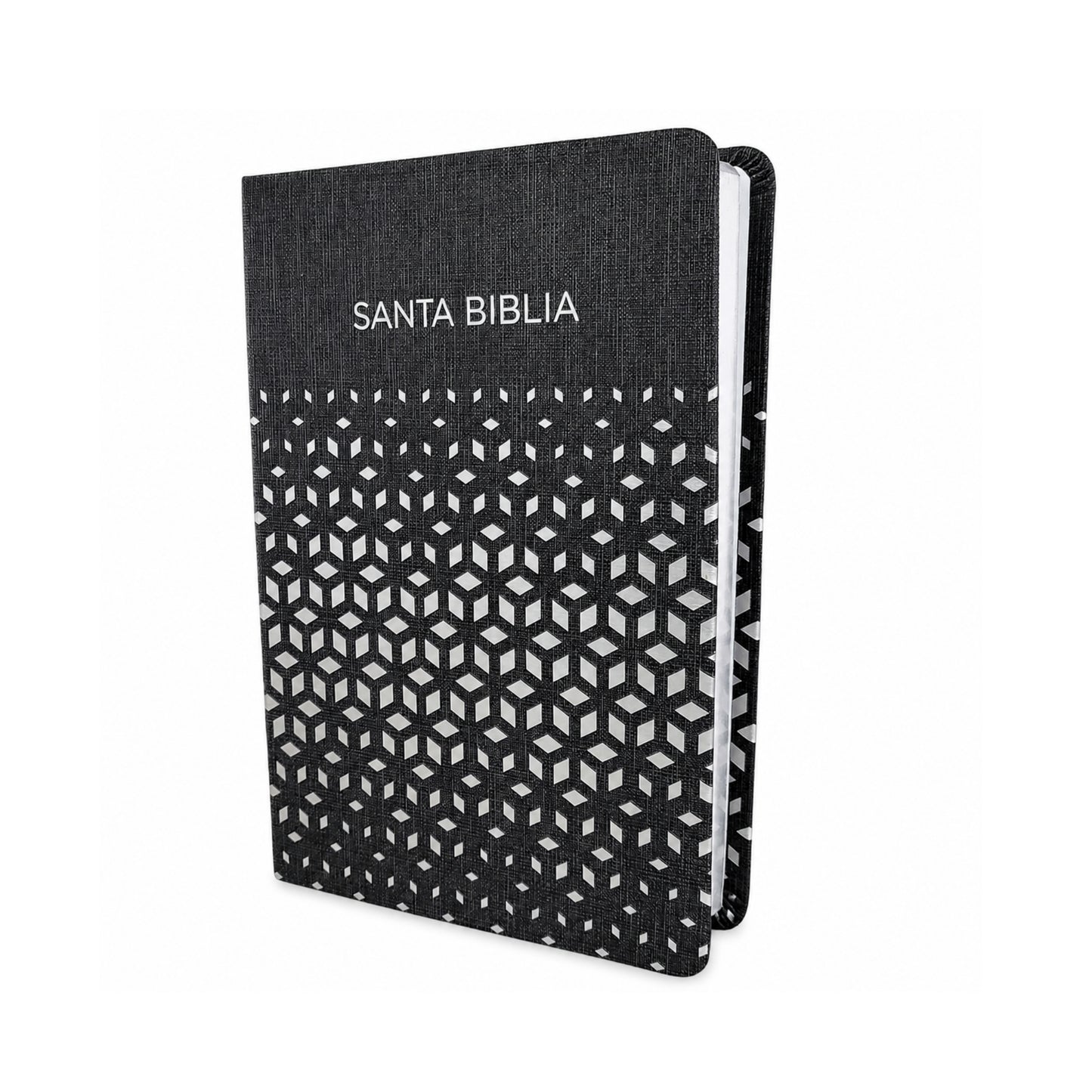 Biblia RVR1960 Regalos y Premios Imitación Piel Negro Plateado