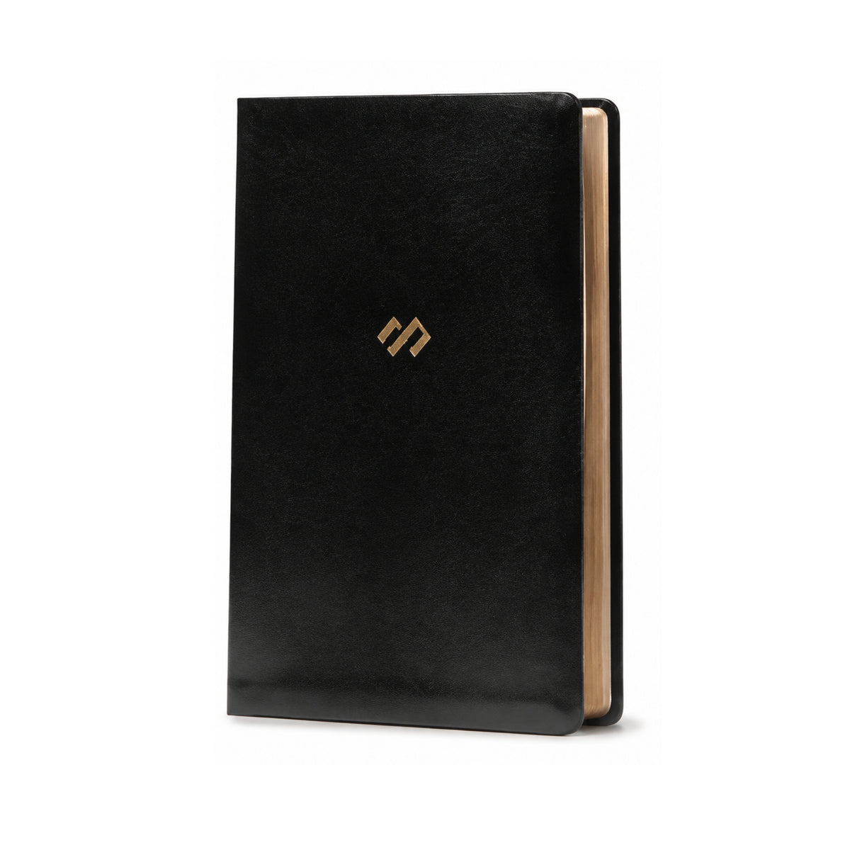 Reina Valera 1960 Thematic Study Bible, Black, Imitation Leather