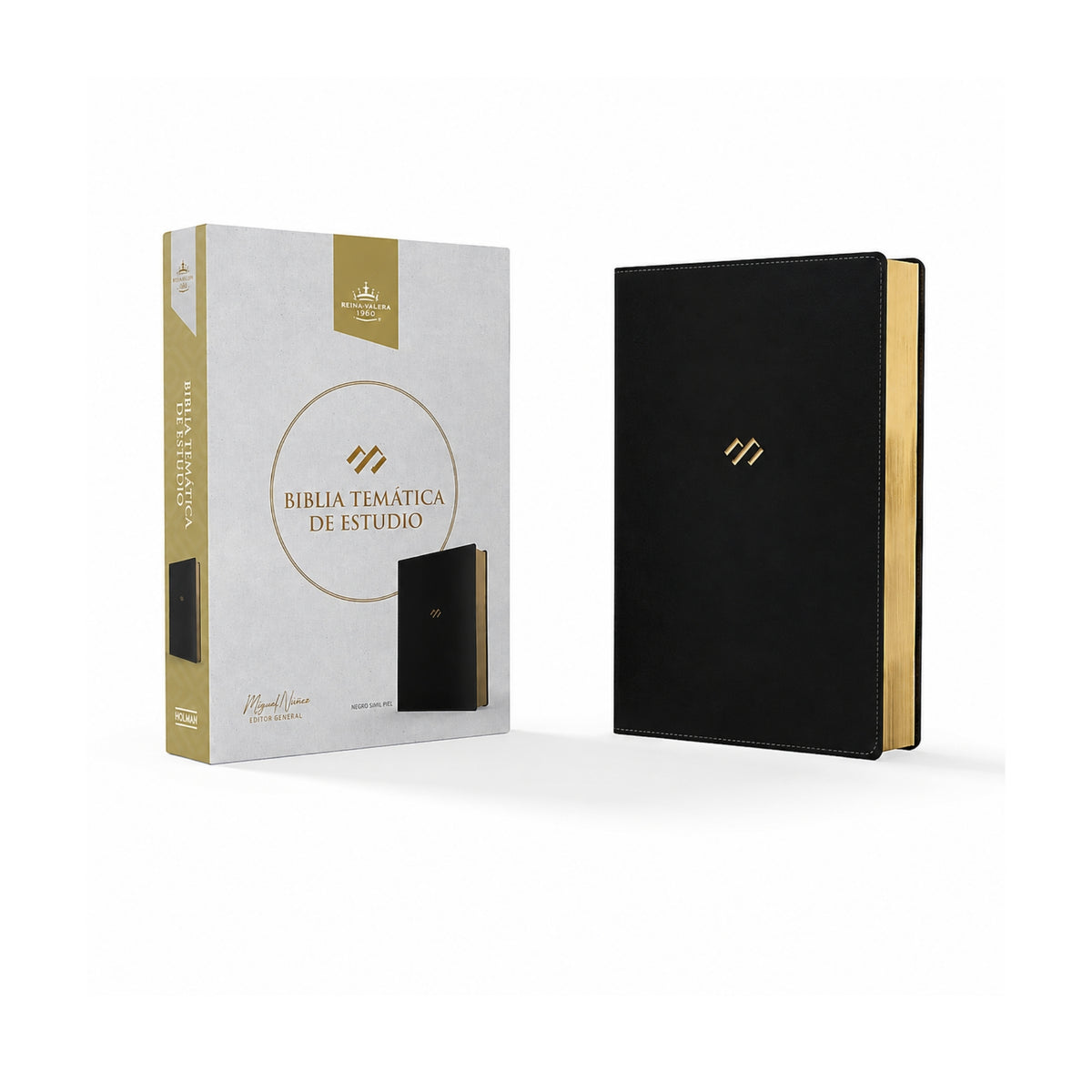 Reina Valera 1960 Thematic Study Bible, Black, Imitation Leather