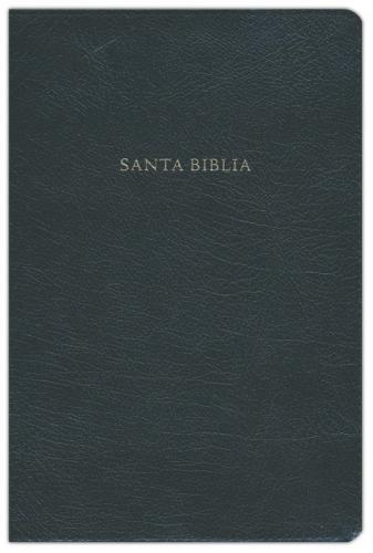Biblia Reina Valera 1960 de estudio Scofield, negro, piel fabricada