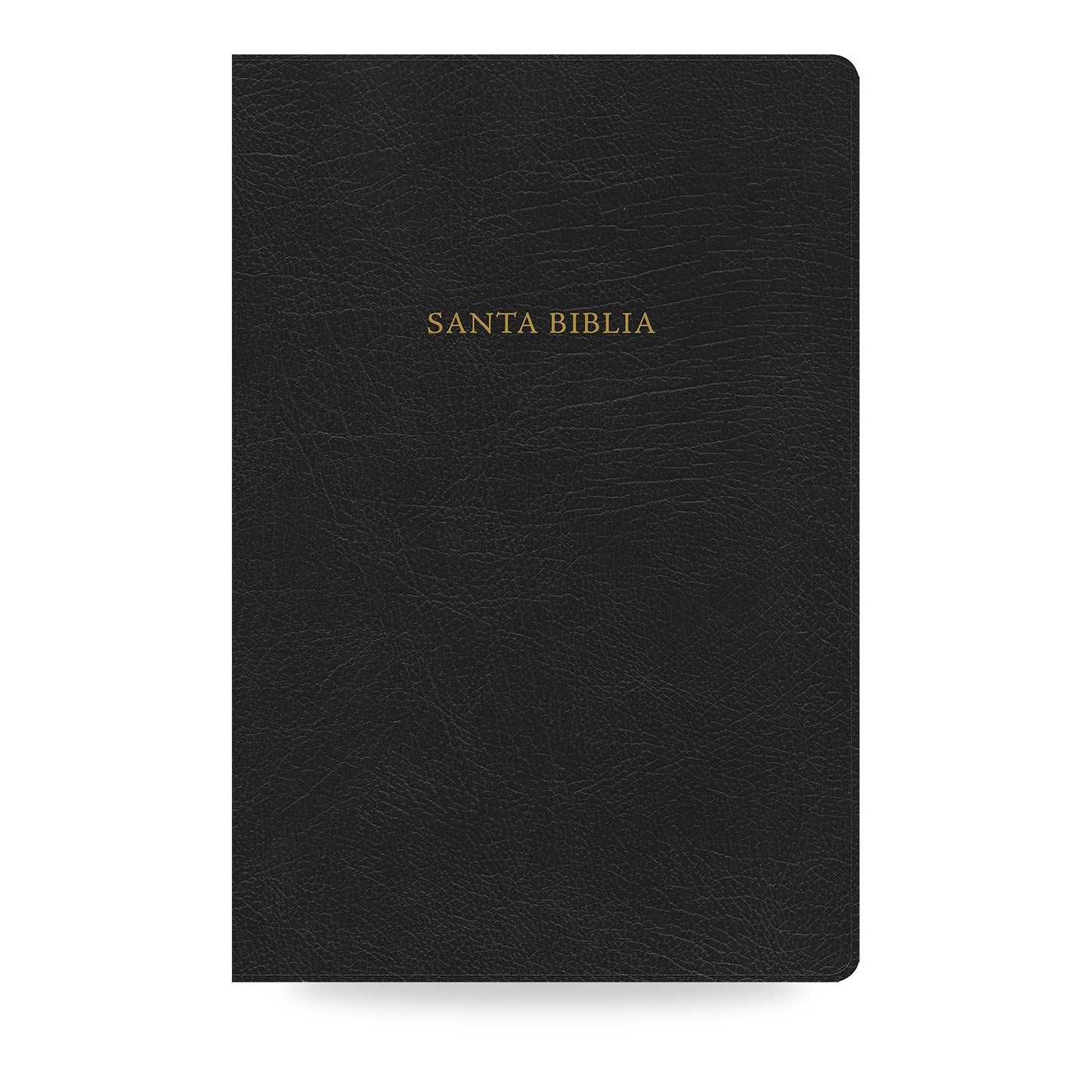 RVR60 Scofield Study Bible, Large Print, Black Special Leather, Indexed