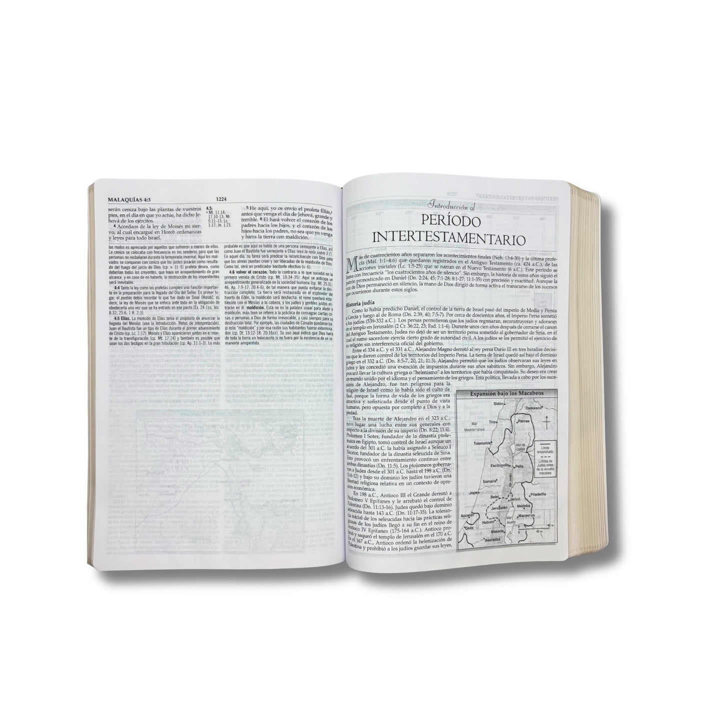 Biblia RVR60 Macarthur Estudio Piel Italiana Negro Cafe Tamaño Grande