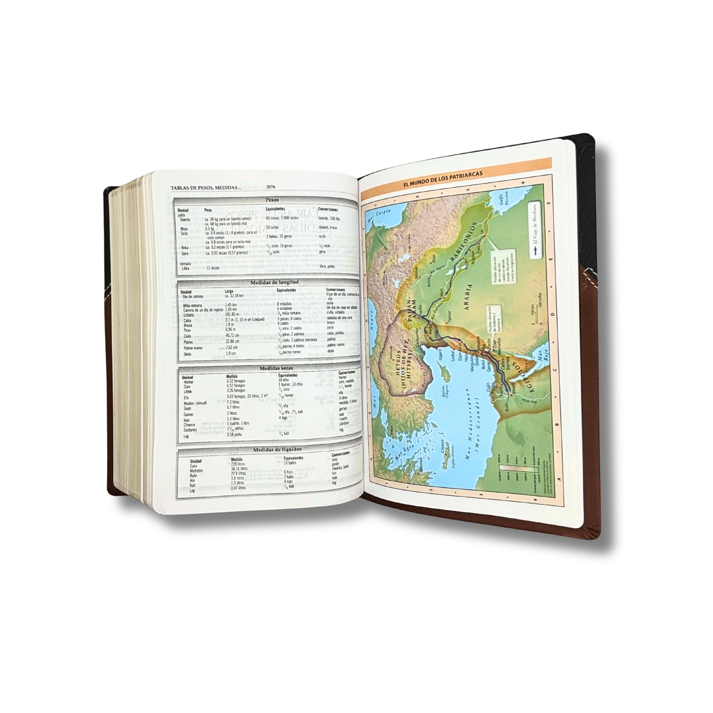 Biblia RVR60 Macarthur Estudio Piel Italiana Negro Cafe Tamaño Grande