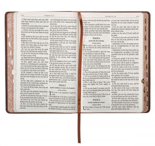 KJV Imitation Leather Bible, Brown, Lion Design