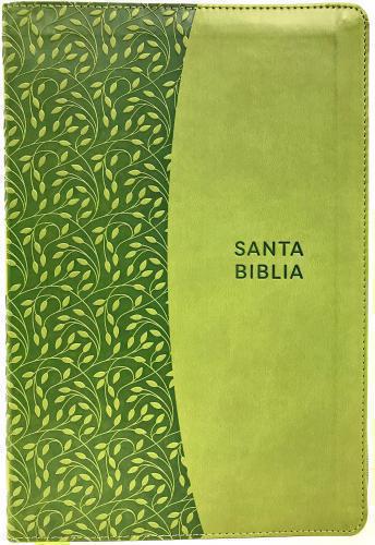 RVR1960 Bible, Giant Print, Imitation Leather, Green, Zippered with Images