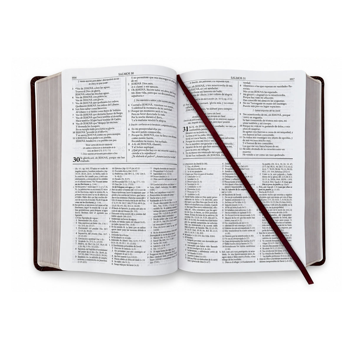 RVR1960 Dake Study Bible, Imitation Leather, Brown