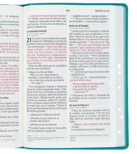 NIV Bible, Imitation Leather, Giant Print, Aqua