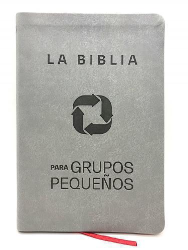 NBV Bible, for Small Groups, Gray "Sentipiel"