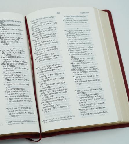 Biblia NVI, Tamaño Manual, Imitación Piel, Color Vino