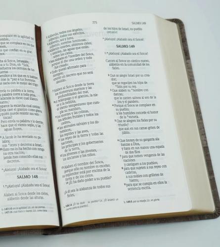Biblia NVI, Tamaño Manual, Imitación Piel, Color Madera