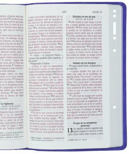 NIV Bible, Manual Size, Leathersoft, Lilac