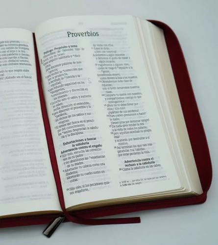 Biblia NVI, Tamaño Manual, Imitación Piel, Color Vino Con Cierre
