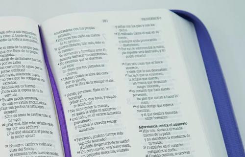 Biblia NVI, Tamaño Manual, Imitación Piel, Color Lila Con Cierre