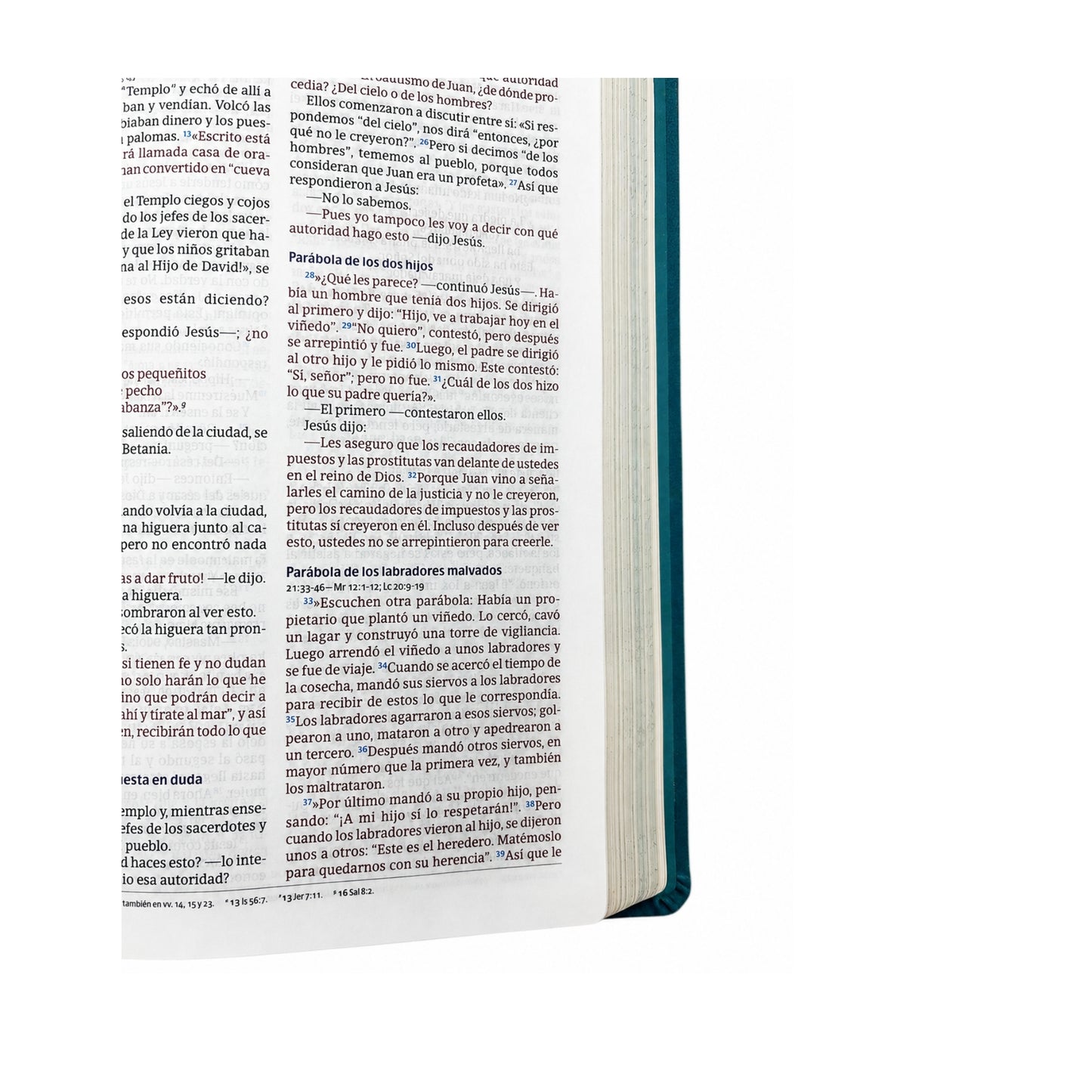 Biblia de estudio Temas cotidianos para mujeres de piel