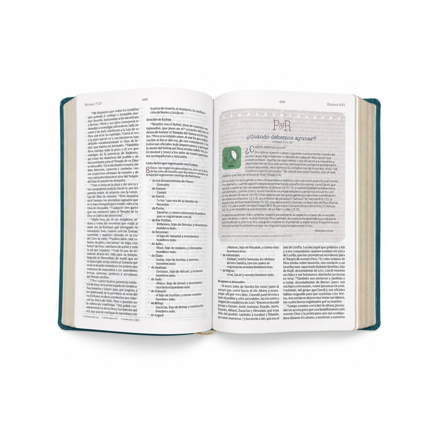 Biblia de estudio Temas cotidianos para mujeres de piel