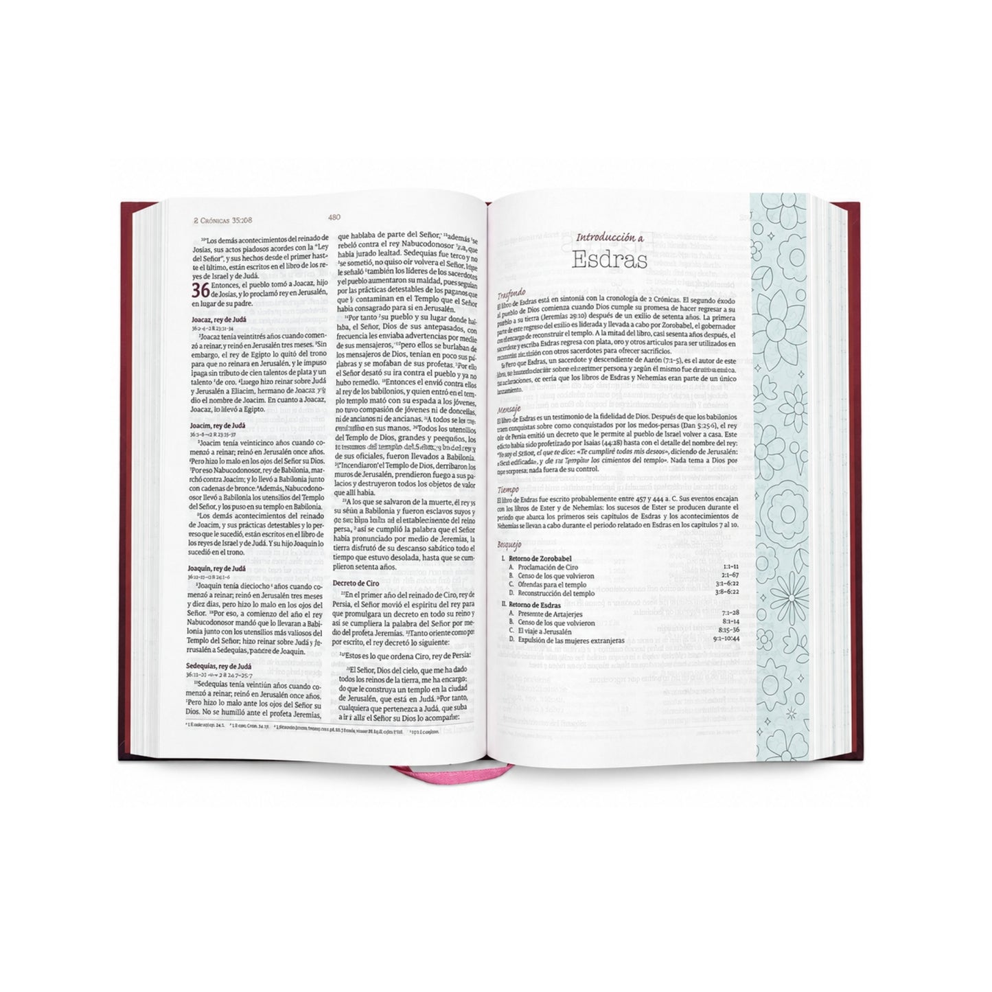 Biblia NVI de temas cotidianos para mujeres