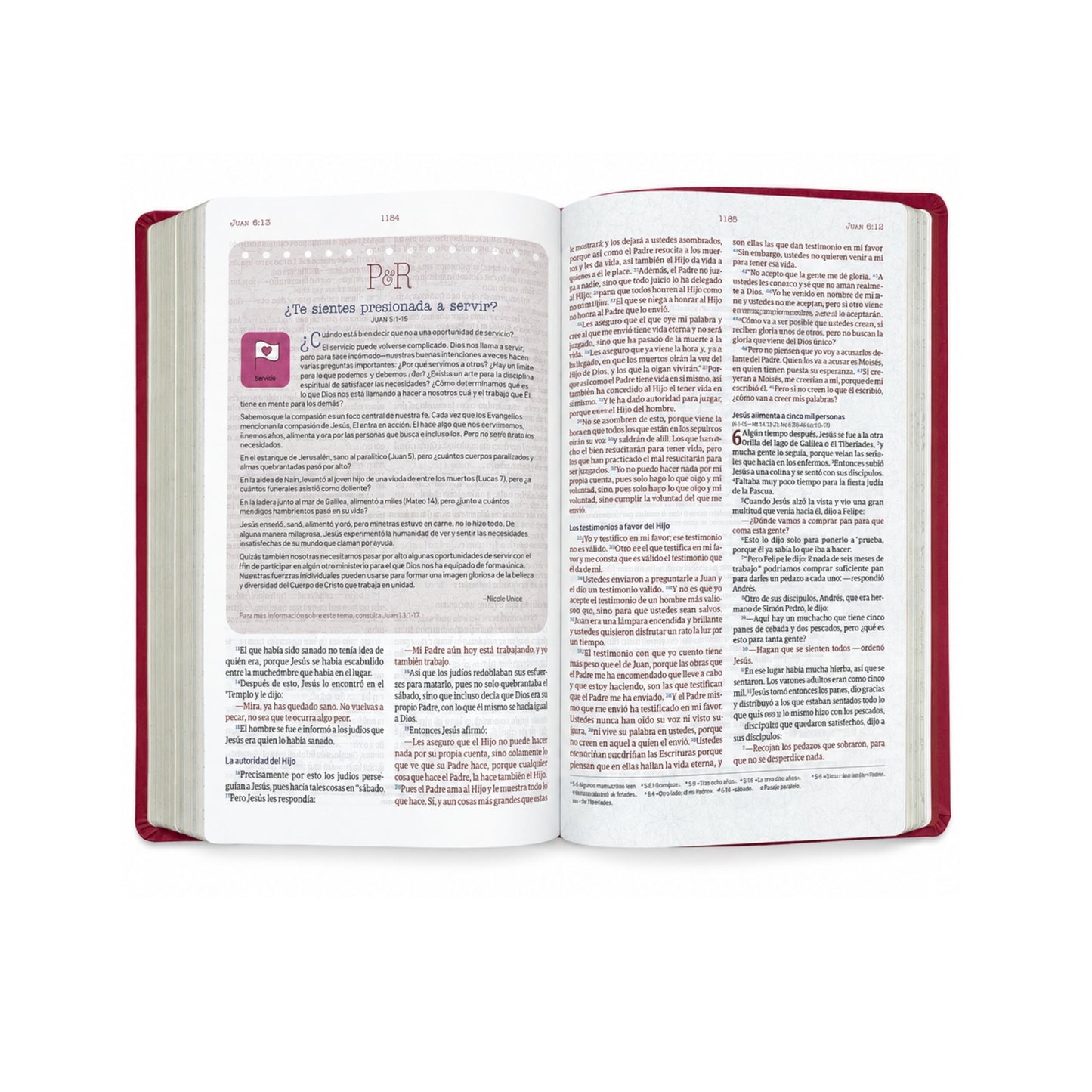 Biblia de estudio temas cotidianos para mujeres, piel Rosa
