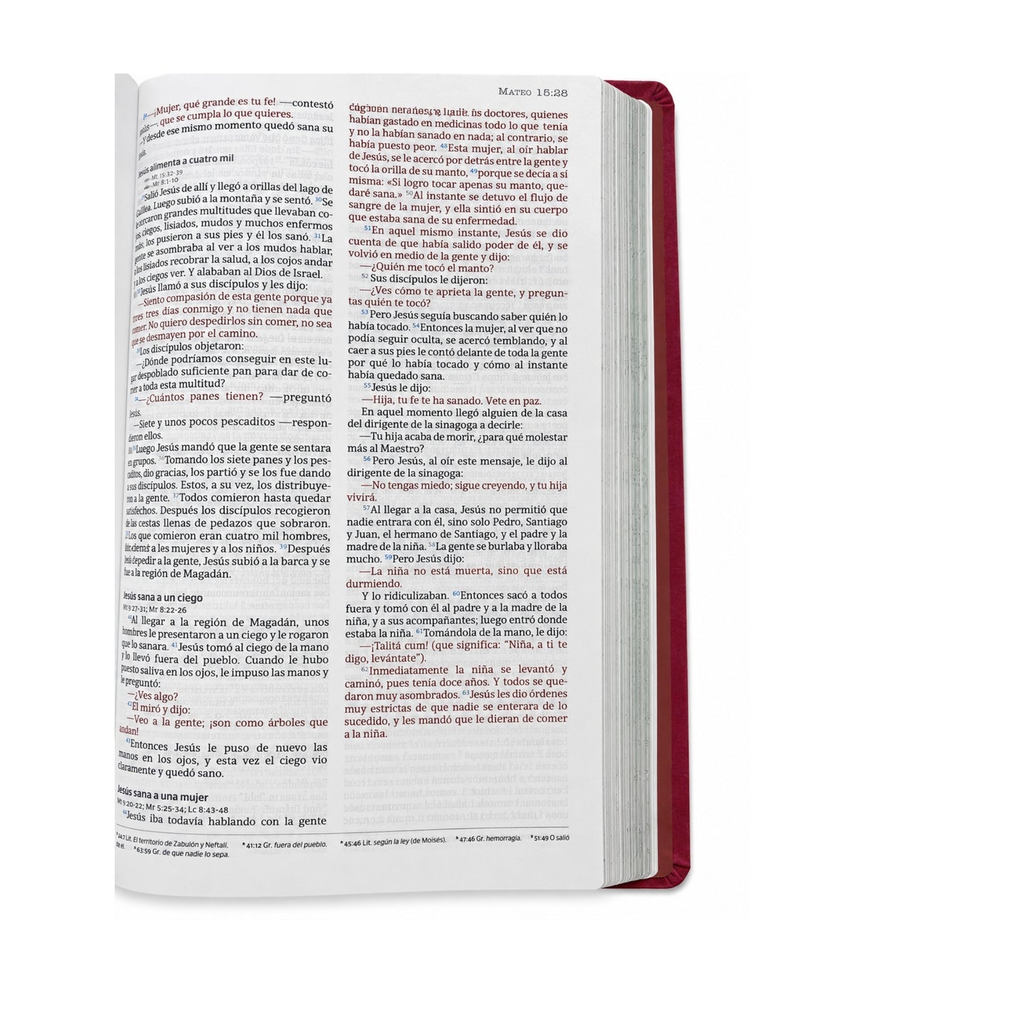 Biblia de estudio temas cotidianos para mujeres, piel Rosa