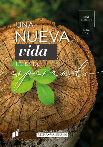 Nuevo Testamento Reina Valera 1960 Letra Grande - Una Nueva Vida