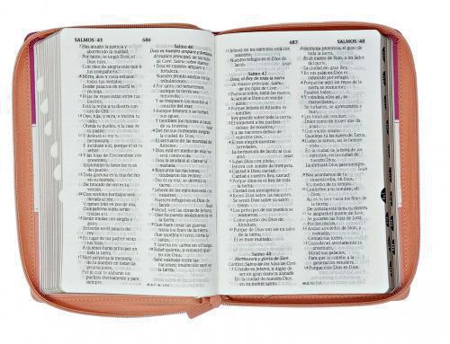 RVR1960 Manual Size Bible, Imitation Leather, Tri-Color, Zippered with Tabs