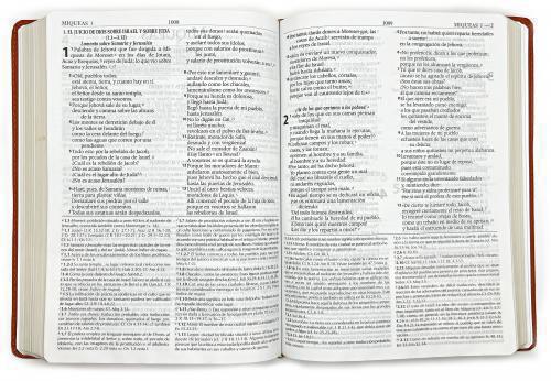 Biblia RVR1995, Biblia de Estudio con Herramientas de Exegesis, Imitación Piel
